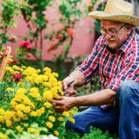Gardening Gardening